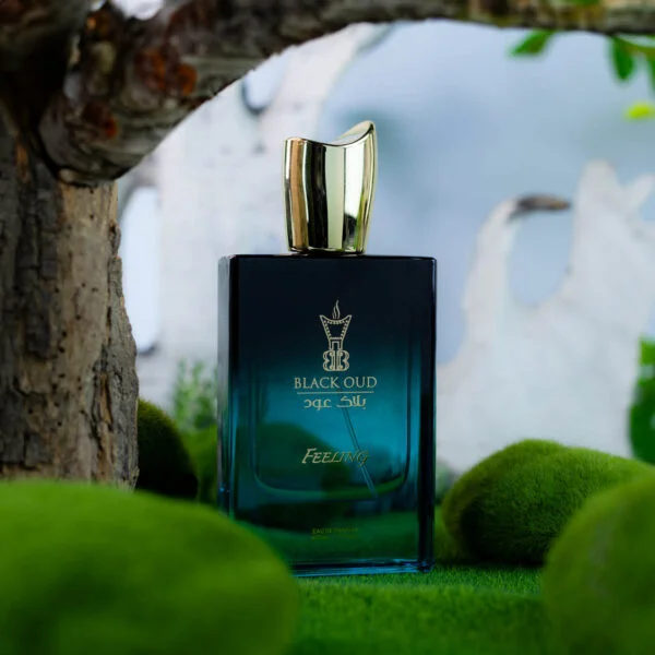 Feeling Perfume - BlackOud - Made In UAE - daytime and evening scents